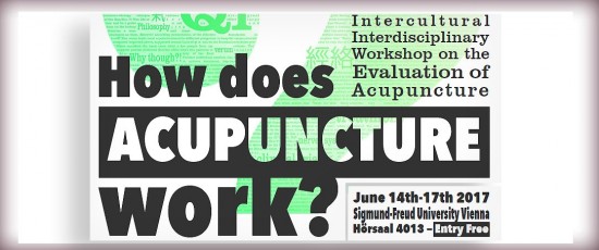 Workshop: „How does Acupuncture work?“ | June 14th-17th 2017