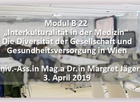 MED | Die Diversität der Gesellschaft und Gesundheitsversorgung in Wien