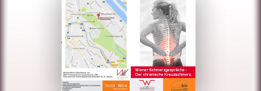 Fortbildung Wiener Schmerzgespräche – Der Chronische Kreuzschmerz